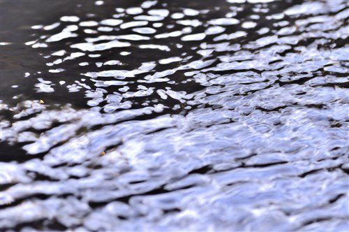 ロイヤルパークスタワー南千住　サウナ