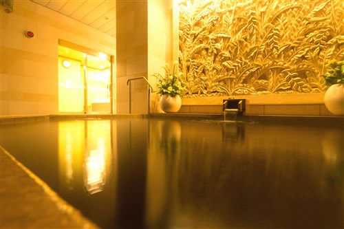 ロイヤルパークスタワー南千住　天然温泉