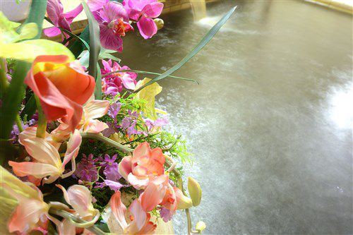 ロイヤルパークスタワー南千住　温泉