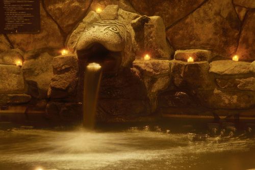 ロイヤルパークスタワー南千住　温泉