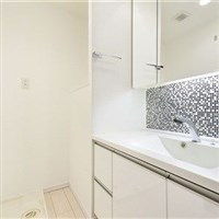 ロイヤルパークスタワー南千住　洗面所