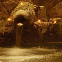 ロイヤルパークスタワー南千住　温泉