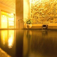 ロイヤルパークスタワー南千住　温泉